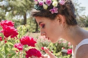 Choosing roses for your landscape or event